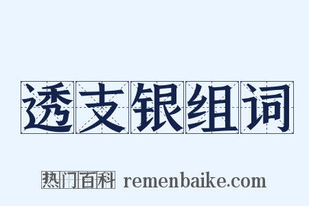 透支银组词是什么意思的图片